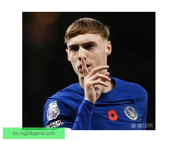 罗塞尼尔称帕尔默切尔西很开心